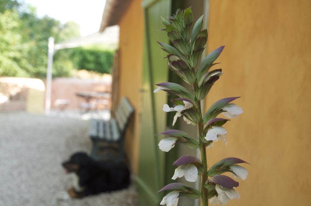 Le Petit Bacalan Villa Mormoiron Rum bild