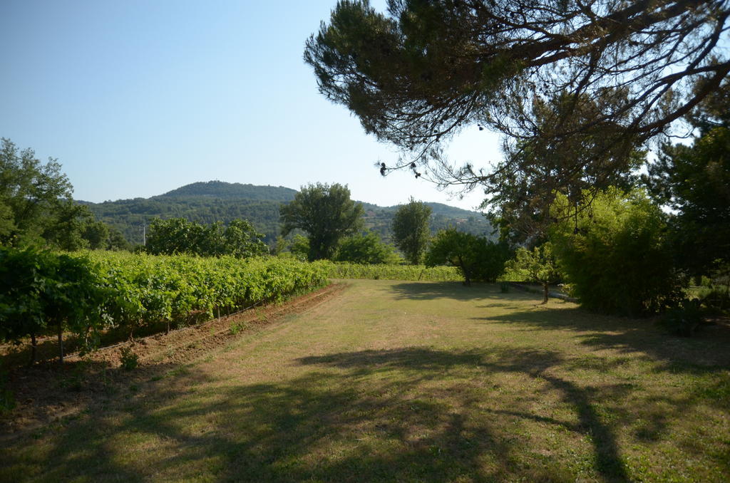 Le Petit Bacalan Villa Mormoiron Rum bild
